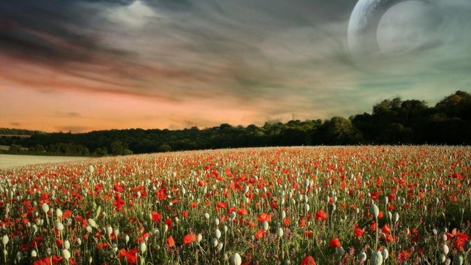 你准备好迎接牛市了吗？